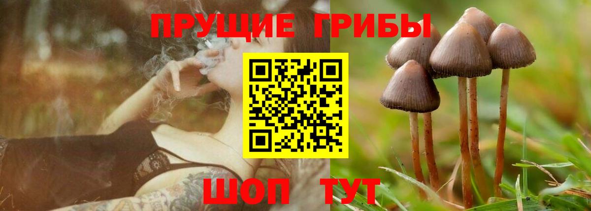 Галлюциногенные грибы ЛСД  Вход с VPN  Михайловка  Псилоцибиновые грибы Cubensis 